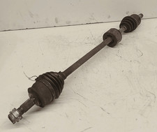 46308259 Semialbero ant