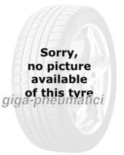 Pneumatici invernali Tristar