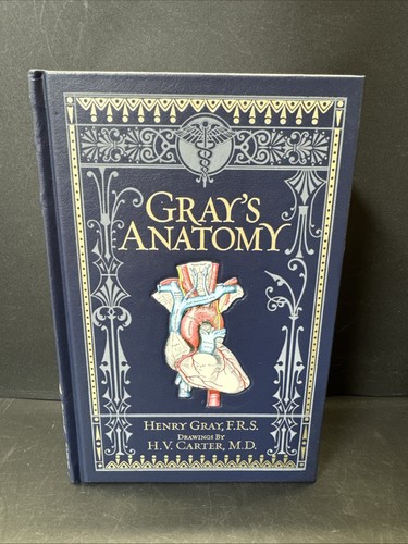 Gray anatomy henry - gray's,
