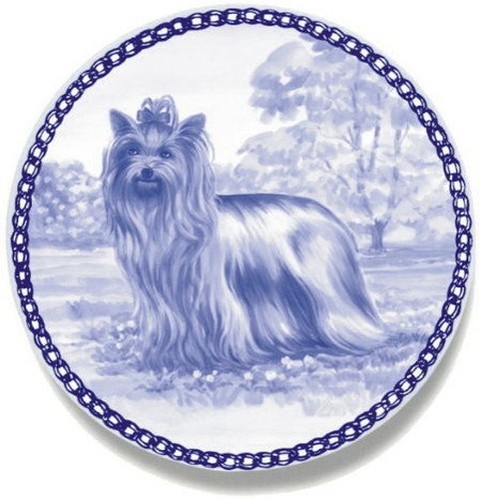 Yorkshire terrier - yorkshire,