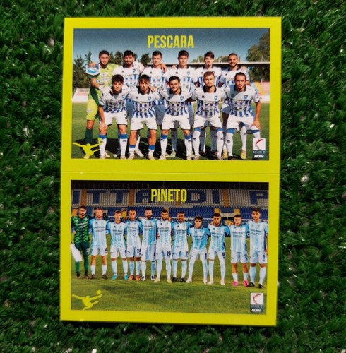 Figurina calciatori panini - figurina,