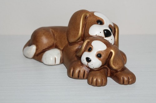 Thun animali cane todo con - cane,