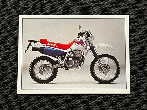 Vignette sticker panini - sticker,