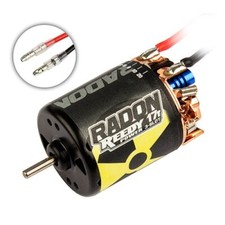 Team Associated #27426 Reedy Radon 2 17T 3 slot 3600Kv
