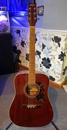 Washburn chitarra acustica - washburn,