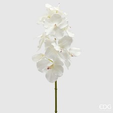 EDG RAMO DI ORCHIDEA VANDA