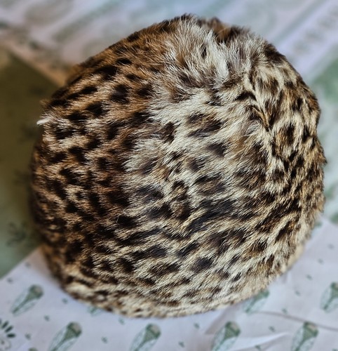 Cappello pelliccia donna - di,