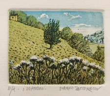 Marco Zambrelli, I Soffioni, Incisione Numerata 2/10. Non Datata, Ottimo Stato