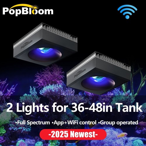 Popbloom 2pcs rl90 - 2pcs,