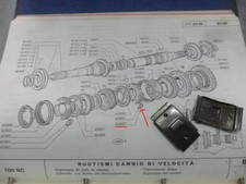 SCODELLINO SCATTO ESTERNO