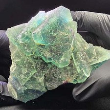 Grande palco Phantom Fluorite