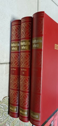 Natura viva - natura,