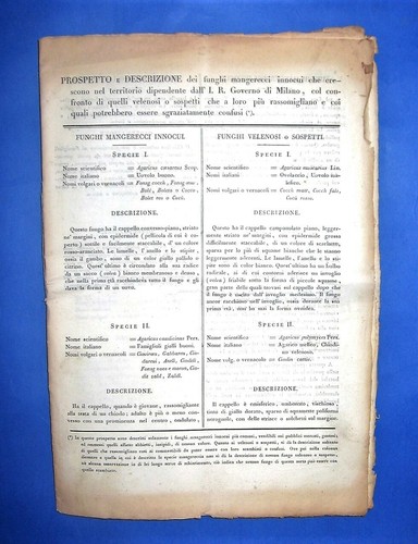 CC973-MICOLOGIA-LOMB.VENETO-PR