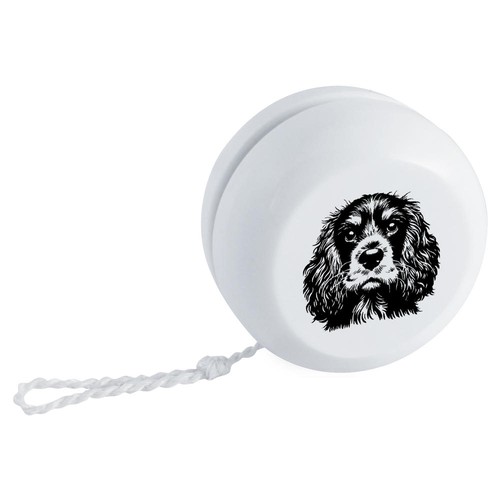 Cocker spaniel portrait - spaniel, portrait'
