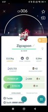 Galarian zigzagoon shiny - zigzagoon, shiny/