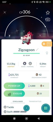 Galarian zigzagoon shiny - galarian,