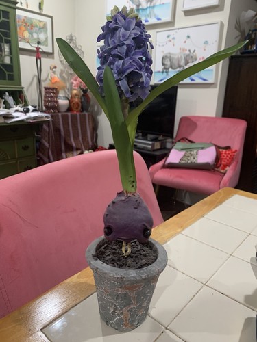 Scultura cotone filato - cotone,