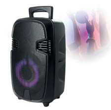 CASSA ACUSTICA SPEAKER WIRELESS AMPLIFICATORE MUSICALE 20W MICROFONO