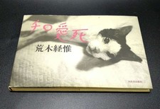 Libro Nobuyoshi Araki Cat