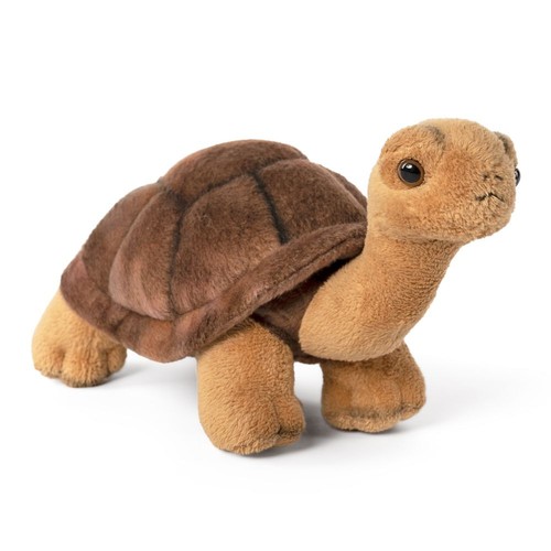 Peluche tartaruga peluche