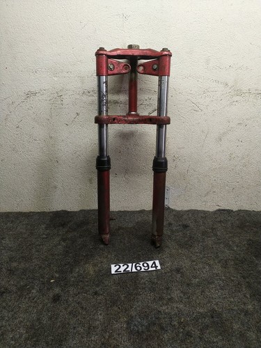 Forcella anteriore funzionante - forcella,
