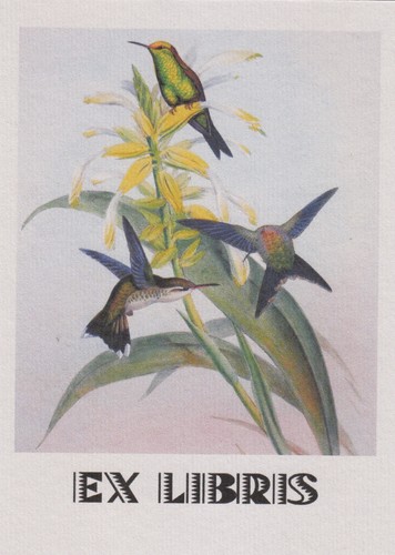 Libris bookplate uccello n - libris,