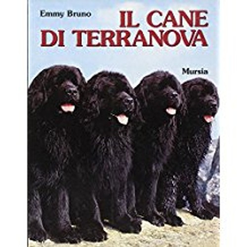 Cane terranova emmy - di,