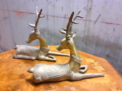 Coppia cervi bronzo - cervi,