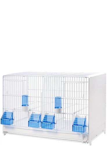 Gabbia cova cm con - cova,