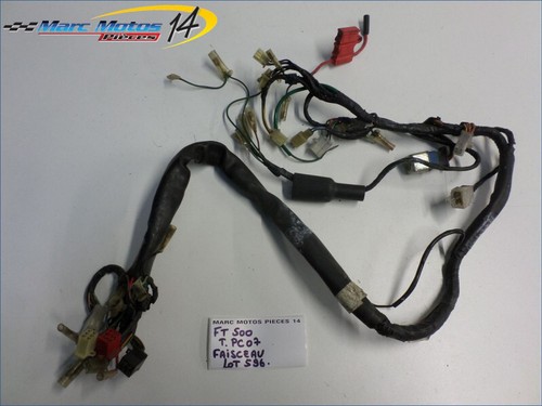 Faisceau honda 500 ascot - ft,