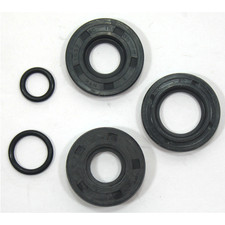 Serie paraolio motore per moto