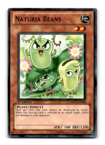 Naturia beans drev - naturia,