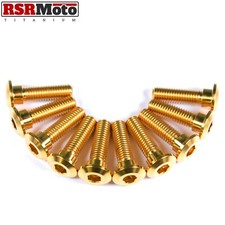 Kawasaki Z1000 Z1000SX Titanio Rotore Freno a Disco Anteriore Viti, 2003-2019,