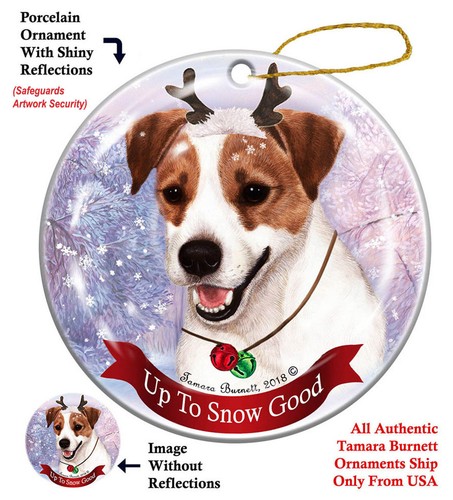 Jack russell terrier fino alla - russell,