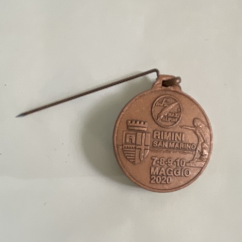 Medaglia adunata nazionale - medaglia,