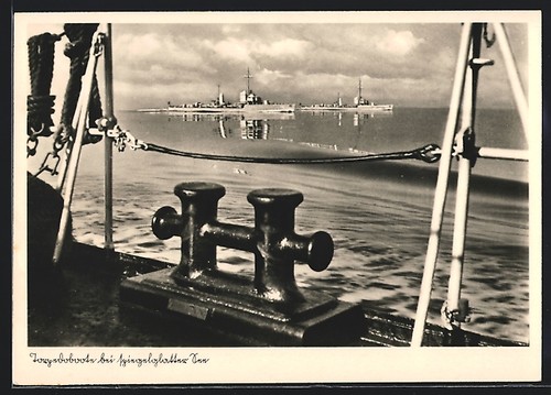Torpediniere mare - ak,