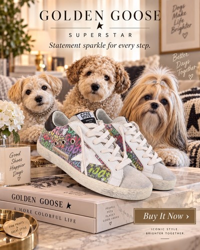 Golden goose super - goose, star
