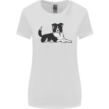A Border Collie Cane Sdraiato