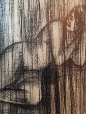 Nudo dietro il velo,pittore