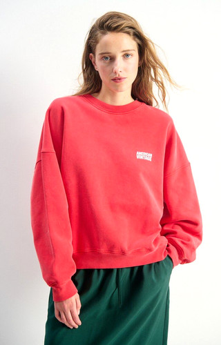 Felpa americana vintage plizzy - americana,