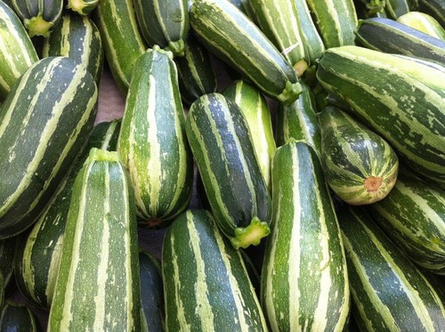 Zucchine italiane righe - zucchine,