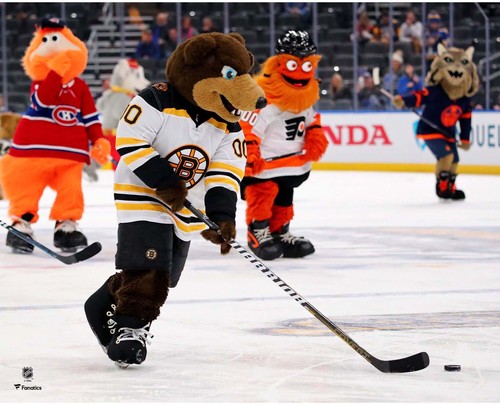 Blades boston bruins foto - boston,