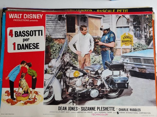 Bassotti per danese - per,