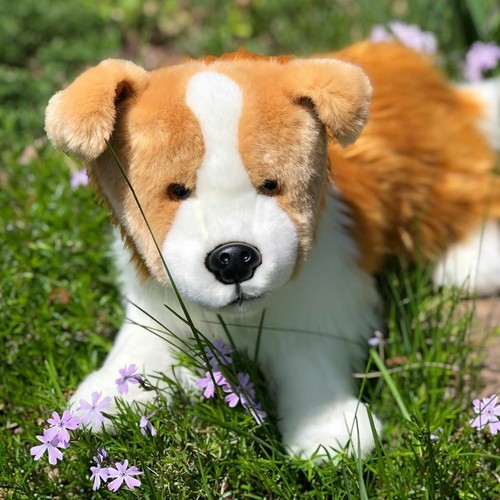 Auswella peluche pollici - auswella, 20