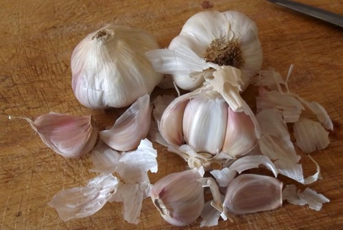 Bulbi aglio voghiera - aglio,