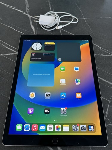 Ipad pro 256gb - ipad,