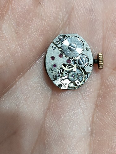 Movimento orologio donna venus - orologio,