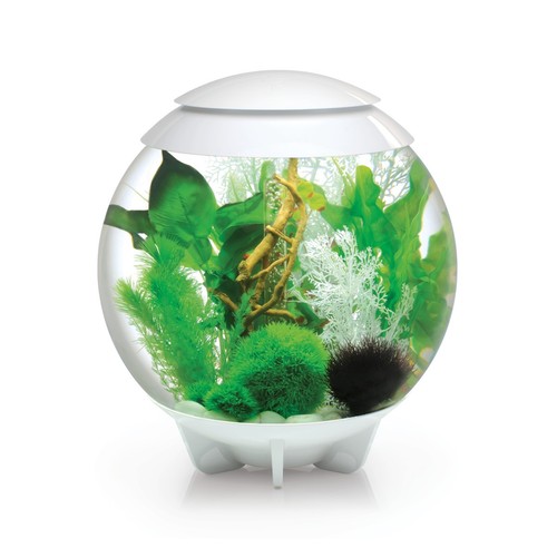 Oasi biorb halo mcr - 30,