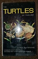 The Turtles Of Thailand by