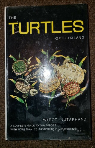 The turtles thailand wirot - turtles,